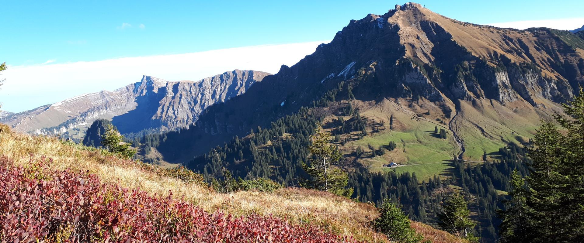 Herbststimmung am Hirschberg mit Blick zum Diedamskopf